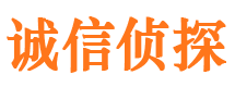 茂港外遇出轨调查取证